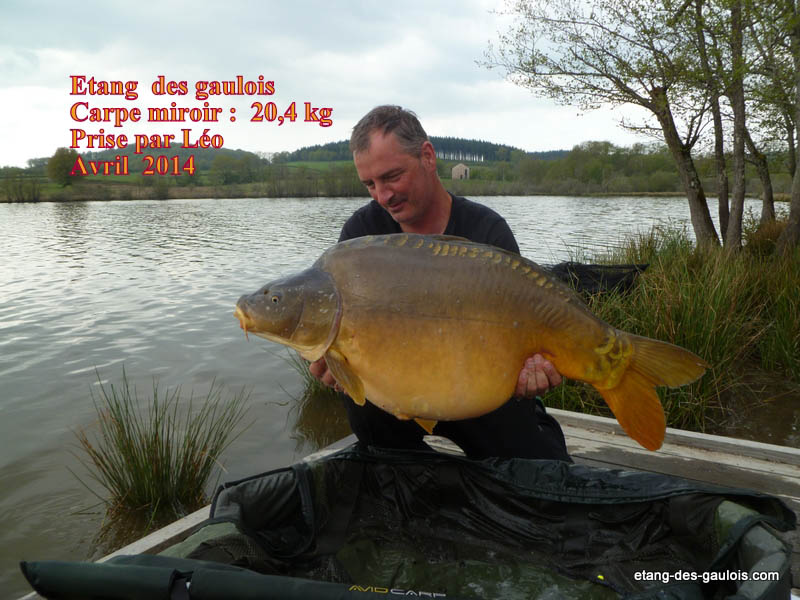 carpe-miroir-20kg400-leo-avril-2014