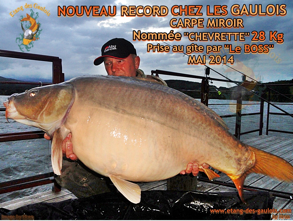 Carpe miroir 28kg Prise par Christophe MAI 2014  NOUVEAU   RECORD chez les Gaulois
