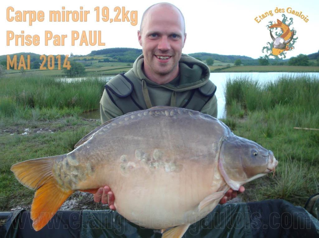 Carpe miroir 19,2kgPrise Par PAUL MAI 2014 by Hren