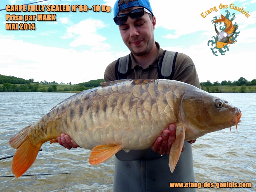 Carpe_Fully_Scaled_N°_88__-_10 kg_Prise_par_Mark_Mai_2014