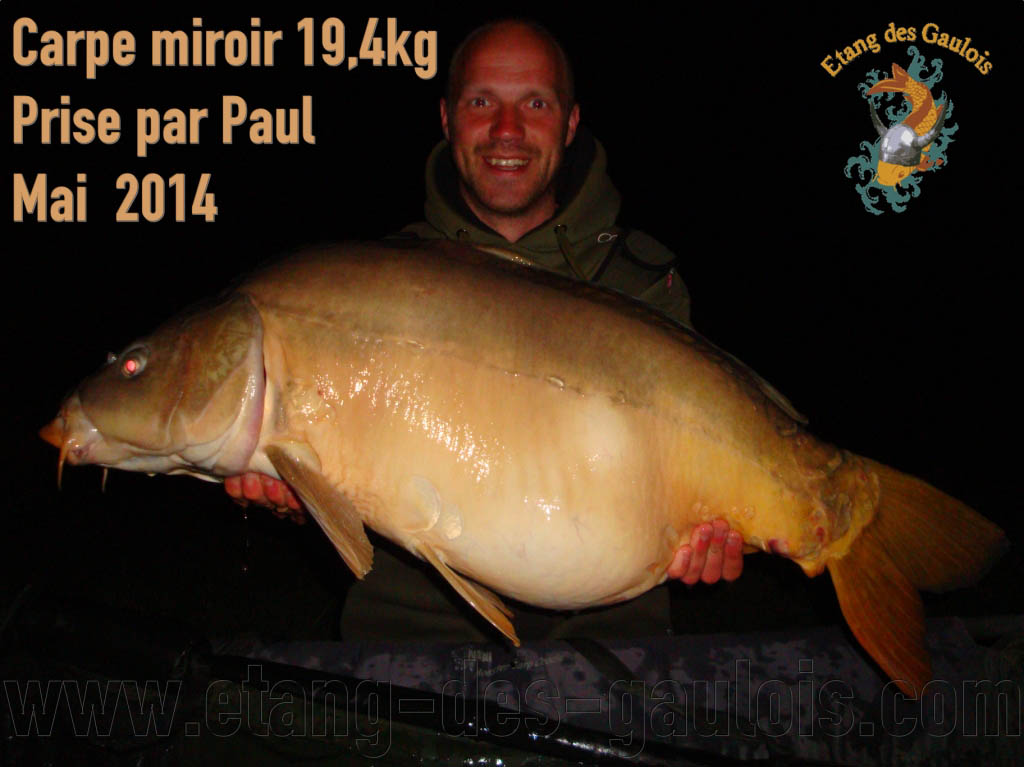Etang des gaulois Carpe miroir 19,4kg Prise par Paul MAI  2014 by Hren