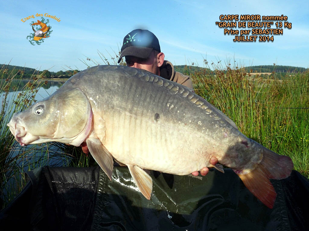 Miroir_nommée_''_grain_de_boté_''13kg _Prise_par_Sébastien_Juillet_2014