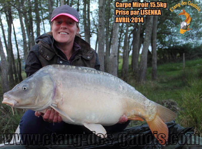carpe-miroir-15kg500-Lisenka-Avril-2014