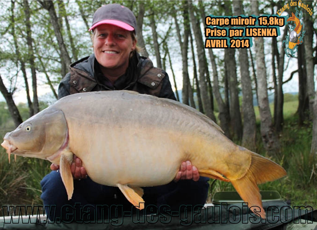 carpe-miroir-15kg800-Lisenka-Avril-2014