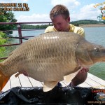 Carpe commune 22kg prise par JCharles Juin 2014