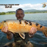 Carpe_Koi_Nomm+®e_''_Mouchet+®_orang e''_Prise__par_Jan_Juillet_2014(1)