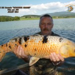 Carpe_Koi_Nomm+®e_''_Mouchet+®_orange _''___Prise_par_Jan_Juillet_2014(1)