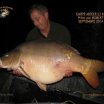 1 Carpe miroir 23kg Prise par Robert Sept 2014