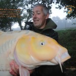 3 Carpe Koi Lin+-«aire jaune Nomm+-«e ''LULU'' 11,6kg ''Prise par Christian - Poste 6 - DE PROFIL -0ctobre 2014