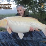 6 Carpe Koi Lineaire jaune Nomm+-«e '' LULU'' 11,6 kg Poste 6 Prise par Christian Octobre 2014