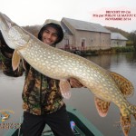 Brochet 89 Pris par Philou le matou du 91 -Nov 2014 - Site