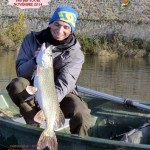 7 Brochet 85 cm Pris par Youri Nov 2014