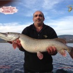 2 Brochet 95 cm Pris par DEM Dec 2014