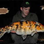 1 Carpe KOI Nomm+u00AEe '' Ammandine'' 9.1kg Prise par Kristof Nov 2014