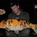 2 Carpe KOI Nomm+u00AEe '' Ammandine '' 9.1kg Prise par Kristof Nov 2014